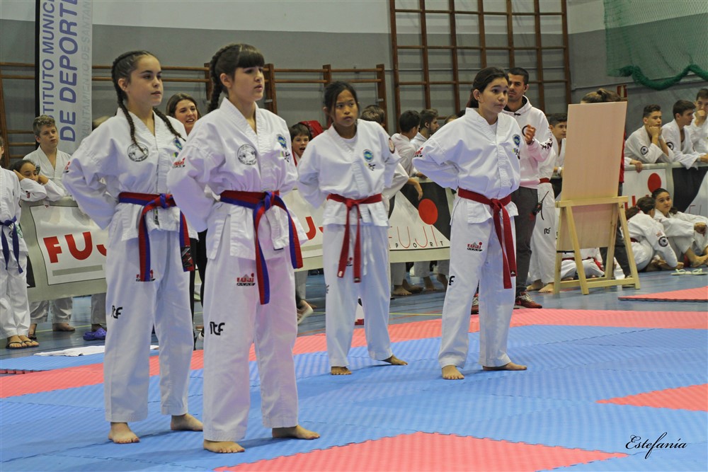 Copa Seul 2018 (360).jpg